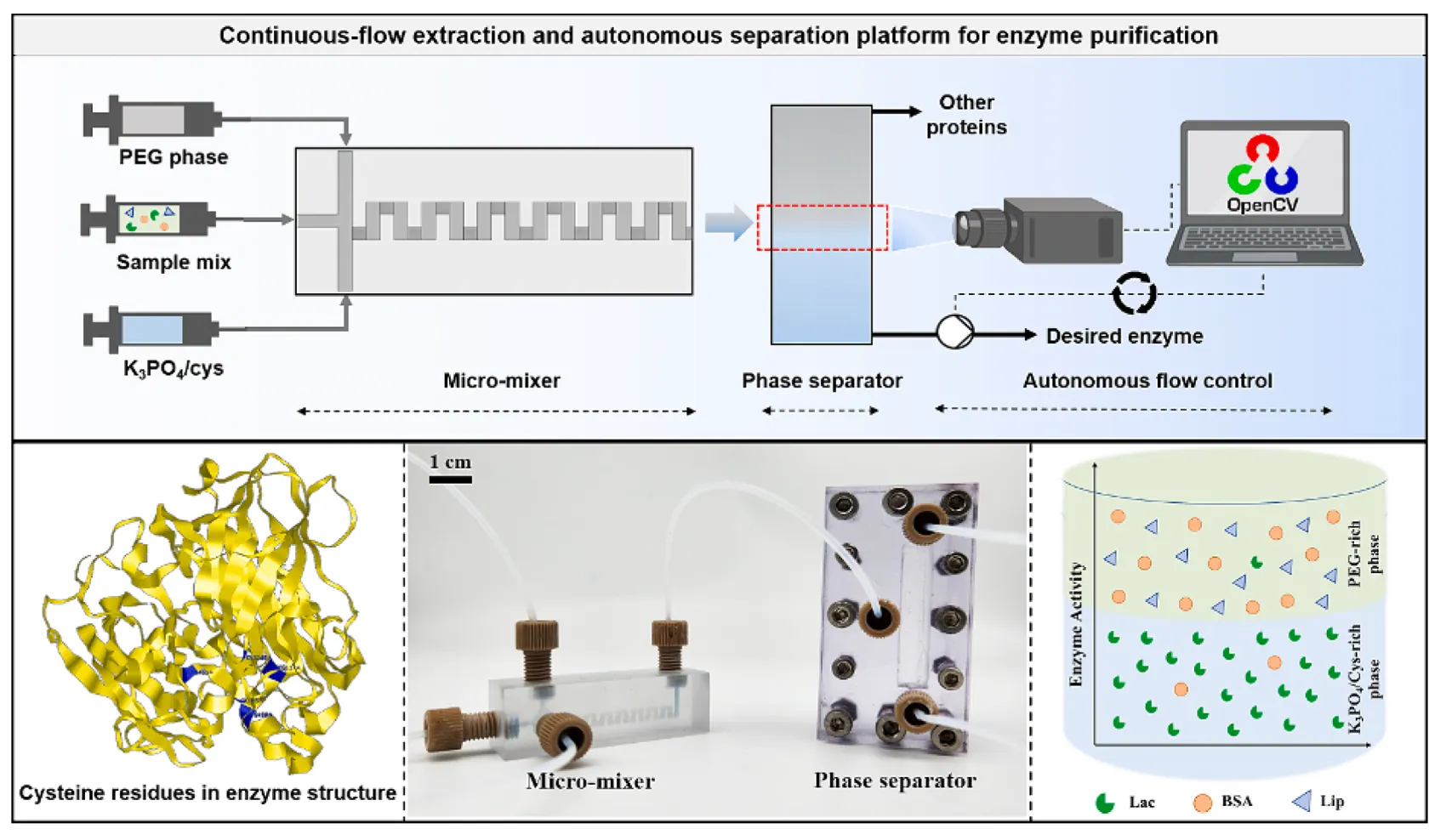 Computer-vision-assisted separation