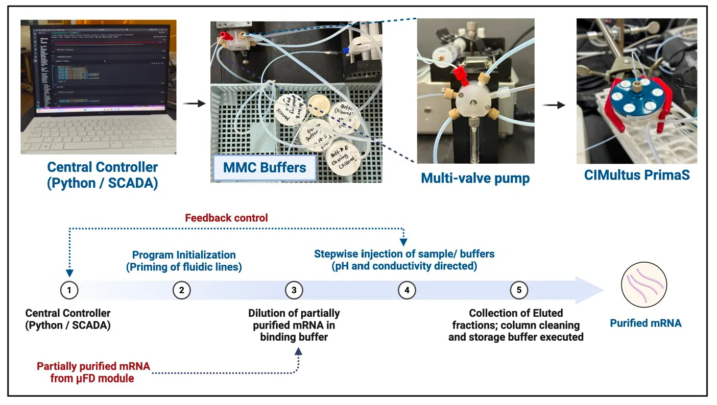 Process analytical technology and instrumentation